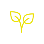 Icône feuille écologique